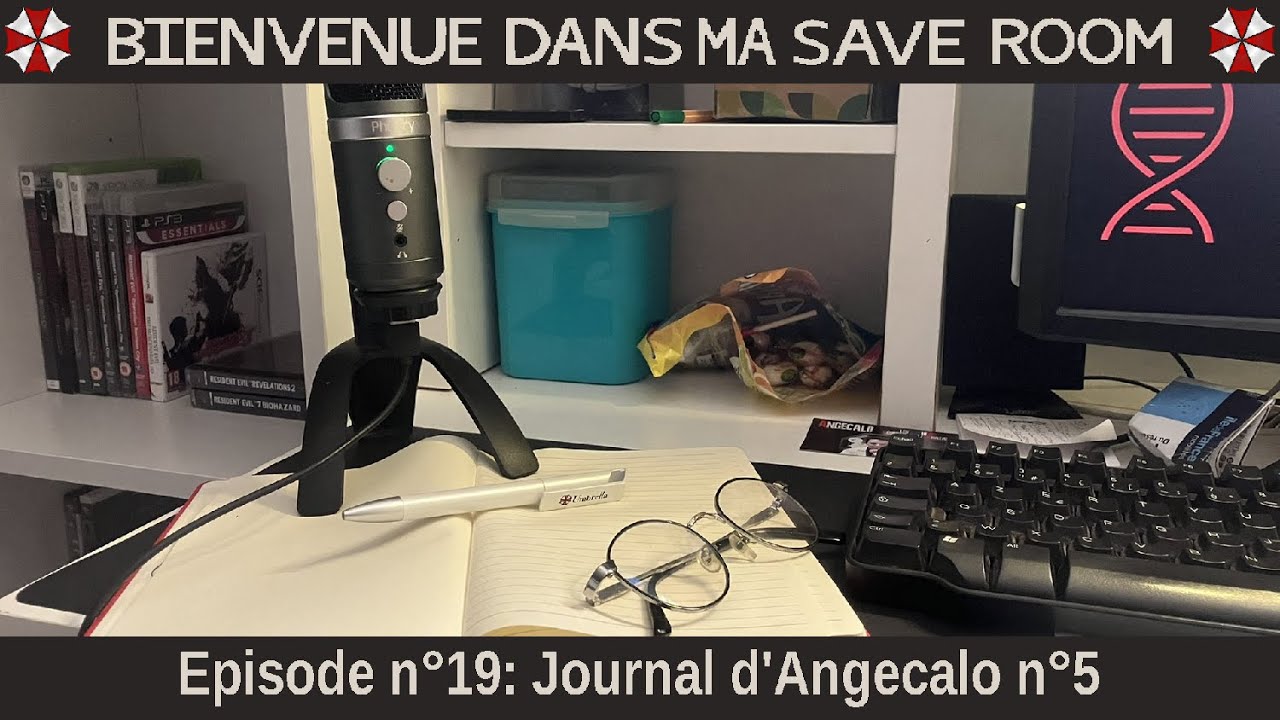 Journal d'Angecalo n°5 (Mise au point et ''bilan'' 2025) (BDMSR n°19)