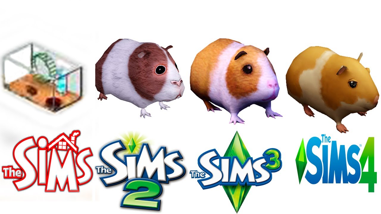 ♦ Hamsters (and such) ♦ Sims1 vs Sims2 vs Sims3 vs Sims4
