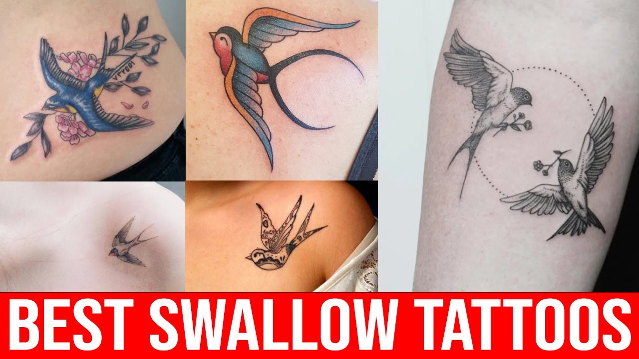 Top 40 Best Swallow Tattoos