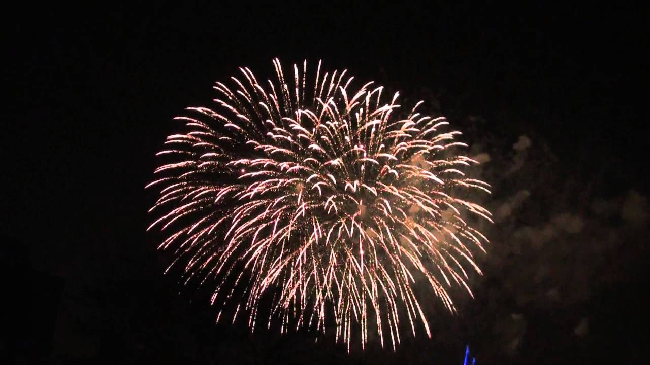 Disney's Fireworks Got Cancelled?!!