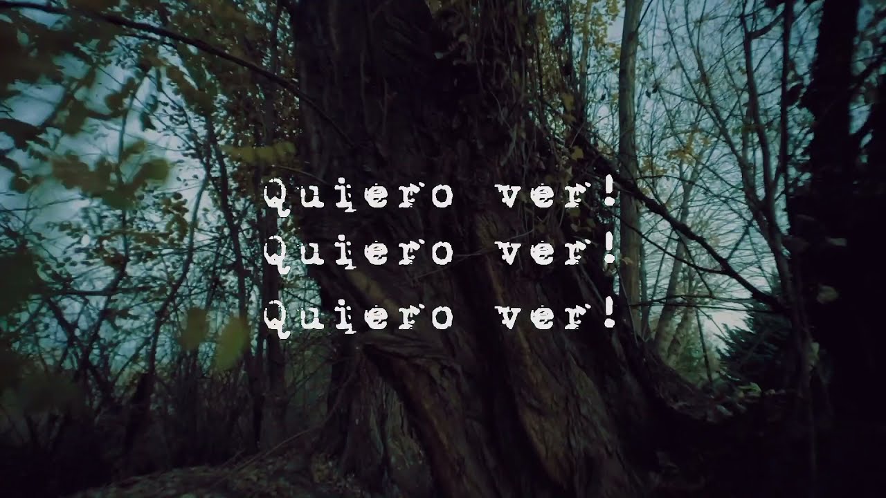 Monta&ntilde;a Rusa - Quiero Ver (Dignidad) - VIDEOLETRA