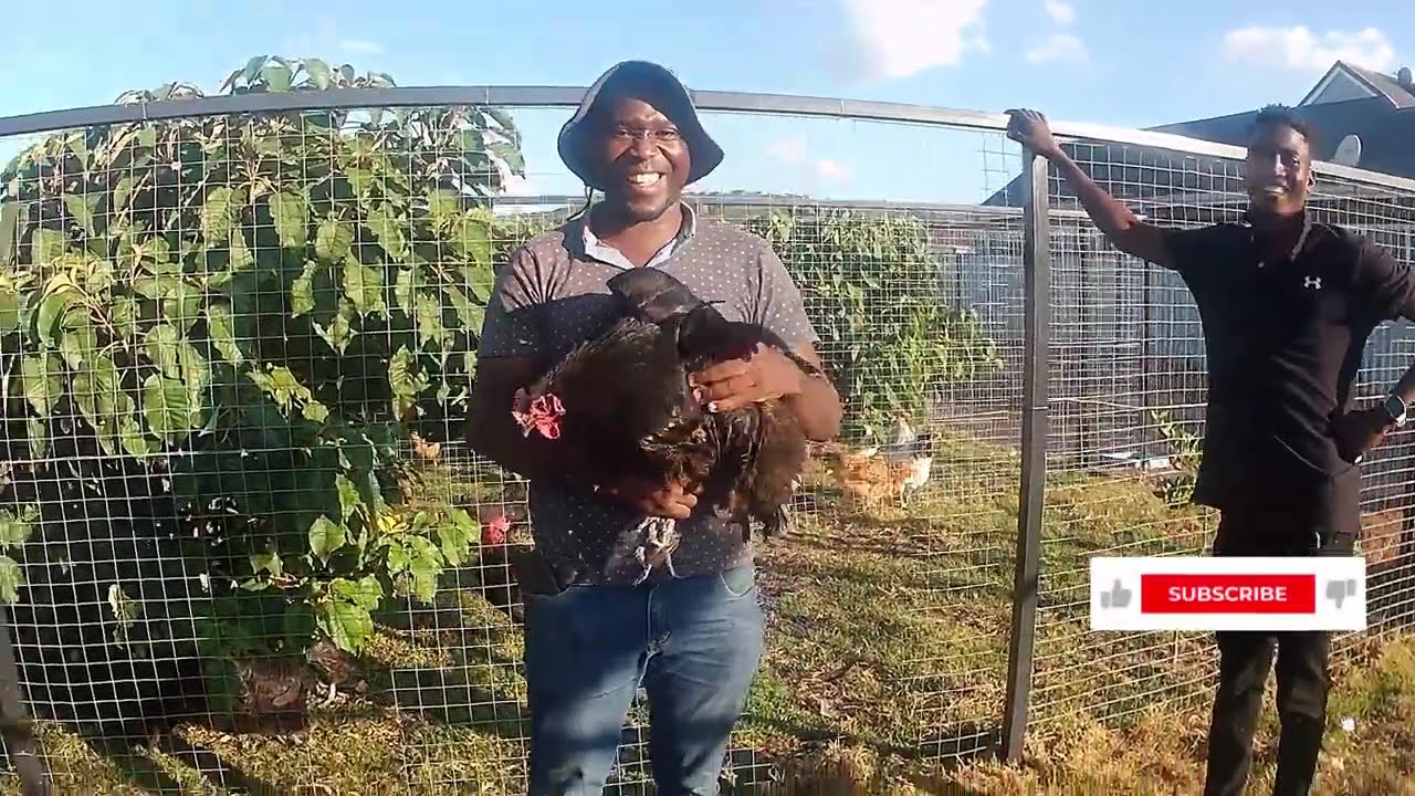 🐥 Inside Mr. Nhema’s Poultry Enterprise – Pure Road Runners & Smart Incubation 🐣