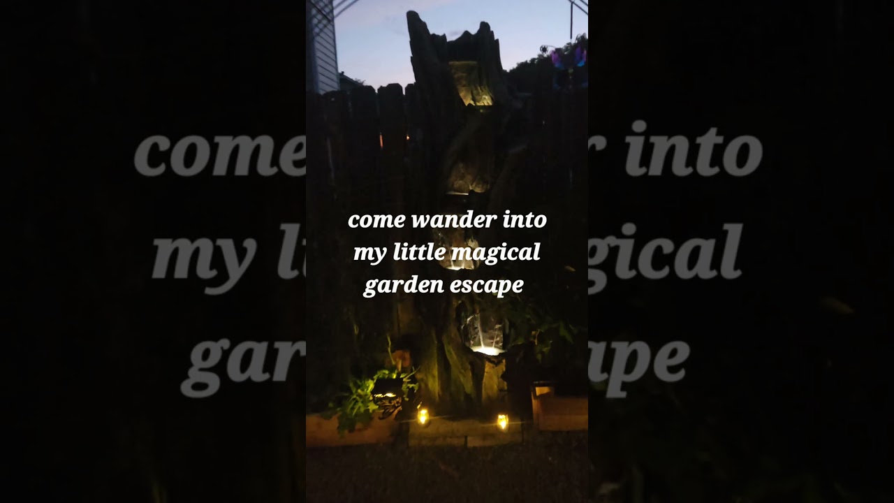 My Small fairy garden #kitchengarden #smallgarden
