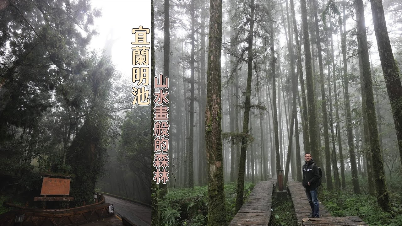 機車騎上北橫公路到宜蘭明池，濃霧壟罩湖中小島、杉木林宛如山水畫