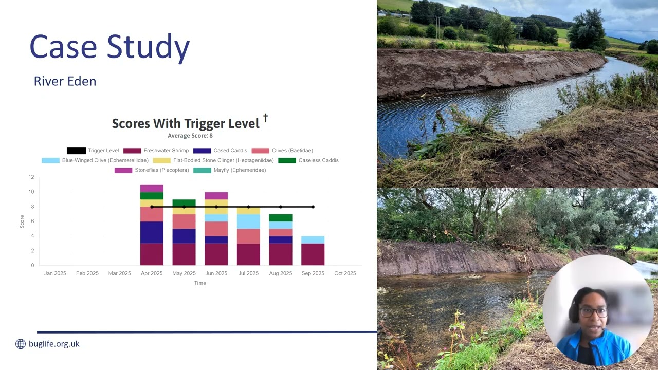 Guardians of our Rivers: Next Steps by Kerry Dodd