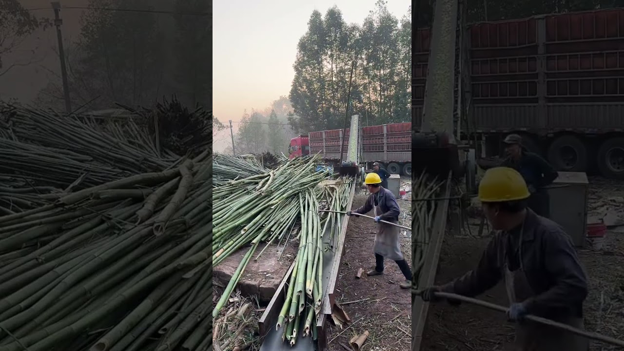 Massive Timber Handling: The Ultimate ASMR Experience