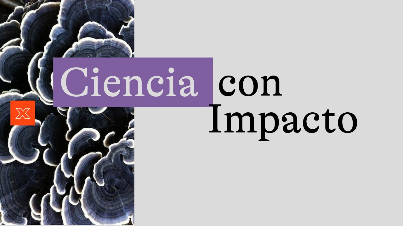 CIENCIA CON IMPACTO: Cómo transformar tu investigación en una startup global