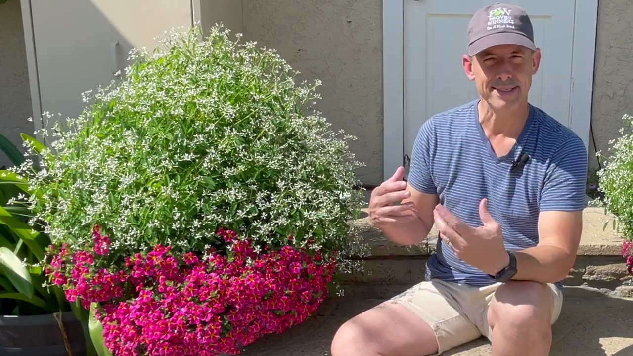 Don't Be Afraid to Prune Back for Amazing Results | Gardening With the Williams'