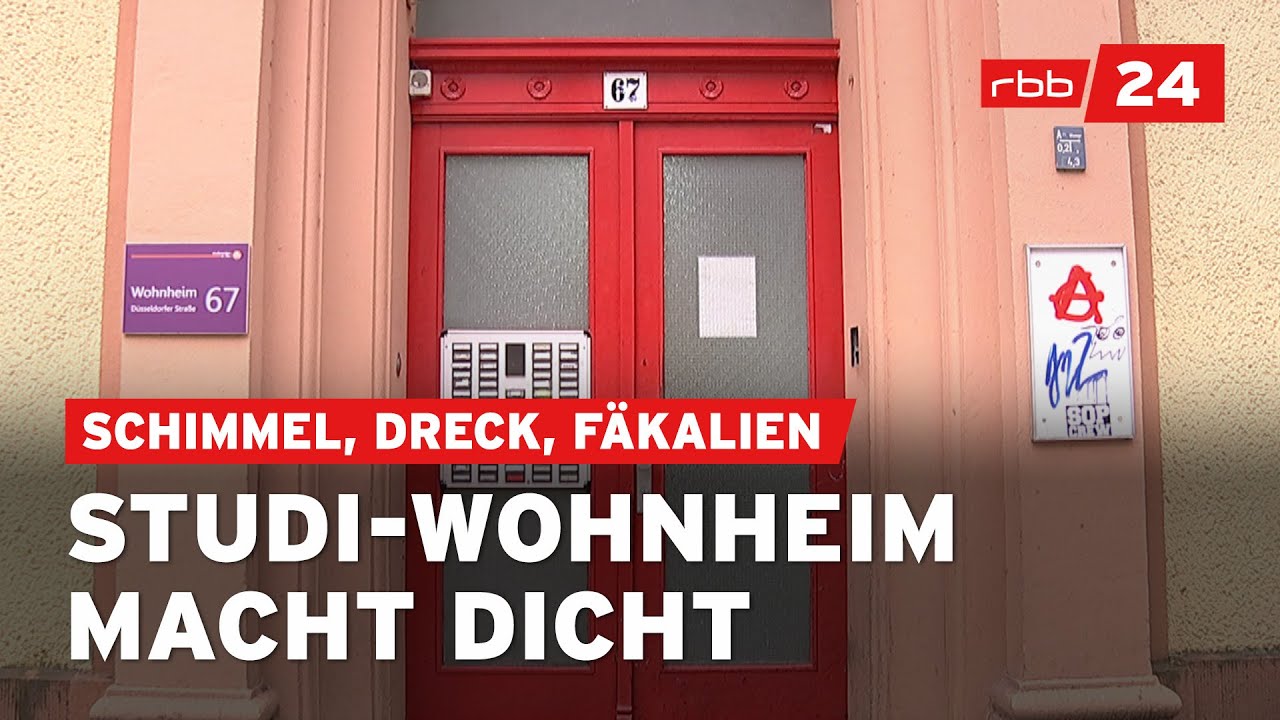 Studierende verzweifelt: Ekelerregende Zust&auml;nde in Berliner Wohnheim