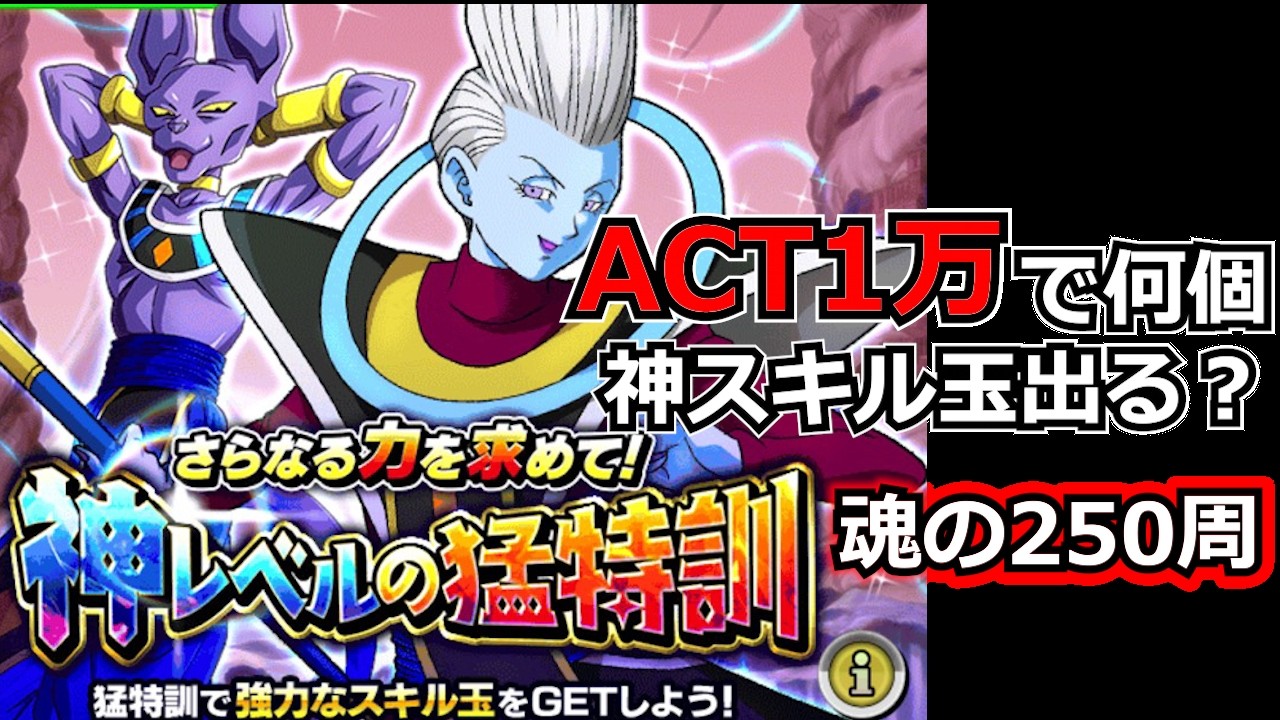 スキル玉厳選にACT1万消費して250周した結果【ドッカンバトル】