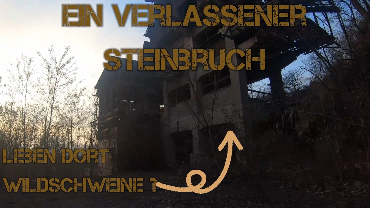 WILDSCHWEINE AM STEINBRUCH ?-S5 E1-(#urbex )