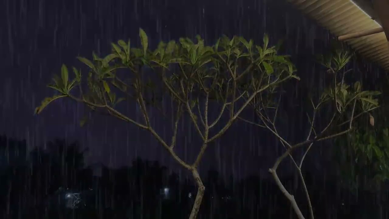 Relaxing Rain Sounds  Peaceful Rain ASMR for Stress Relief 😌🌧️