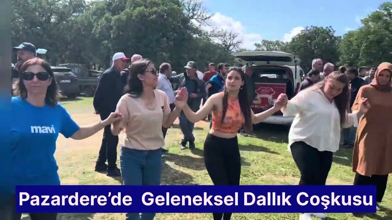 Pazardere Köyünde Geleneksel Dallık Coşkusu