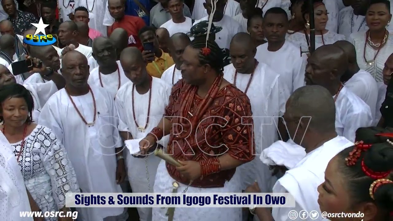 IGOGO FESTIVAL