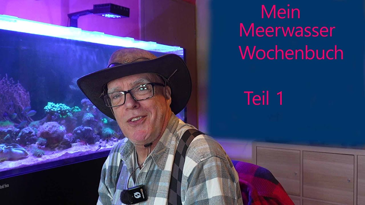Mein Meerwasser Wochenbuch Teil 1