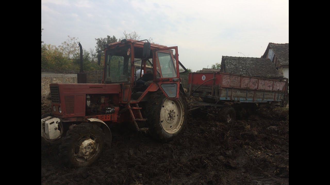 Загрузка и разбрасывание коровьего навоза MTZ BELARUS IMT Gramip HU-6c loader