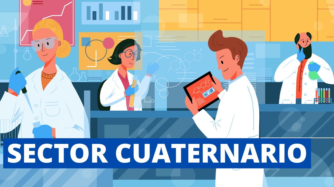 ¿Qué es el SECTOR CUATERNARIO? (Actividades Económicas y Ejemplos)👨‍💻📈