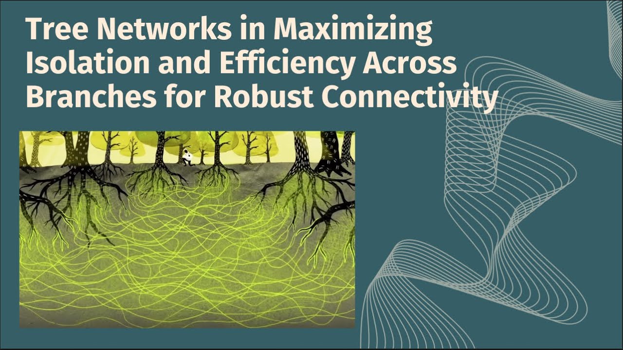 Tree Networks in Maximizing Isolation and Efficiency Across Branches for Robust Connectivity