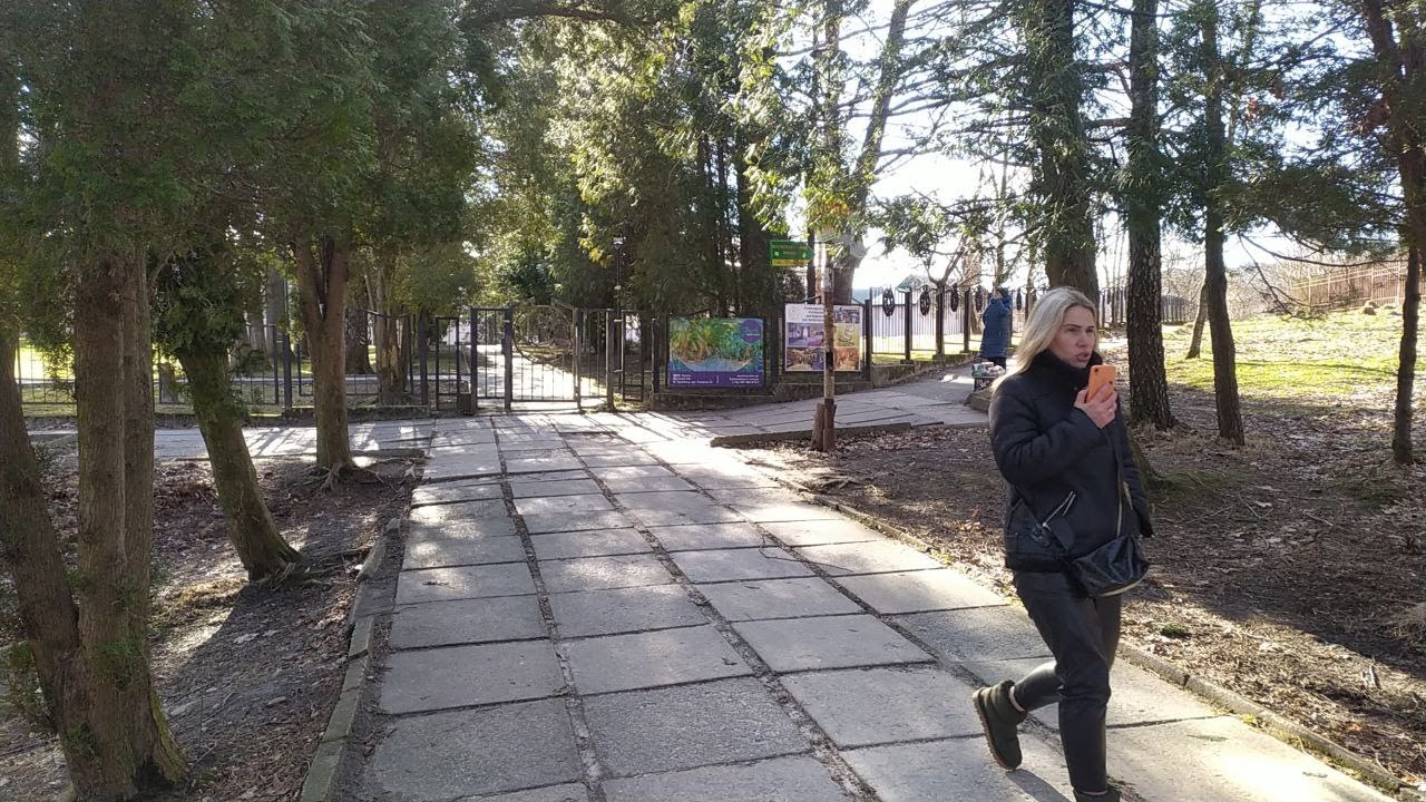 Трускавець 2022: від Молдови і Південного на бювет, повалені дерева, концерти