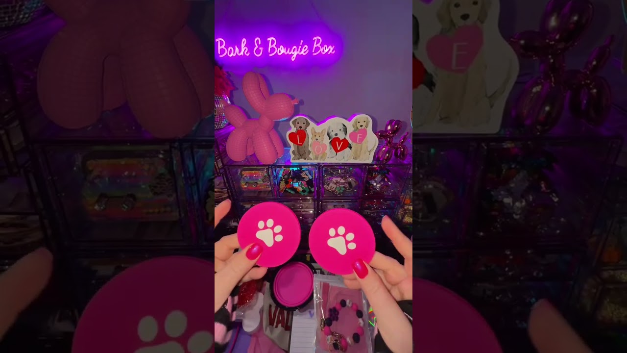 Megan’s MEGA 40 Mystery Scoop + 3 Premium picks! #mystery #unboxing #mysteryinside #dogmom #dog 