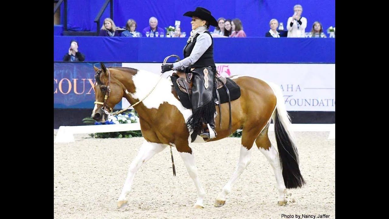 Lynn Palm and Rugged Painted Lark Level 4 Freestyle 2019 WDAA World Show