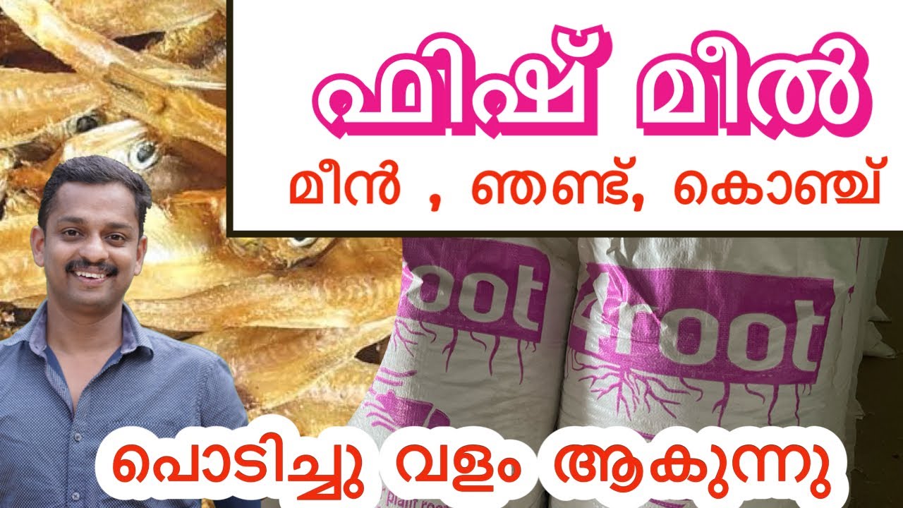 മീൻ വളം#fish meal #fish waste #4 root #for route #fish fertilizer #Crab shell meal #fish manure #kl6