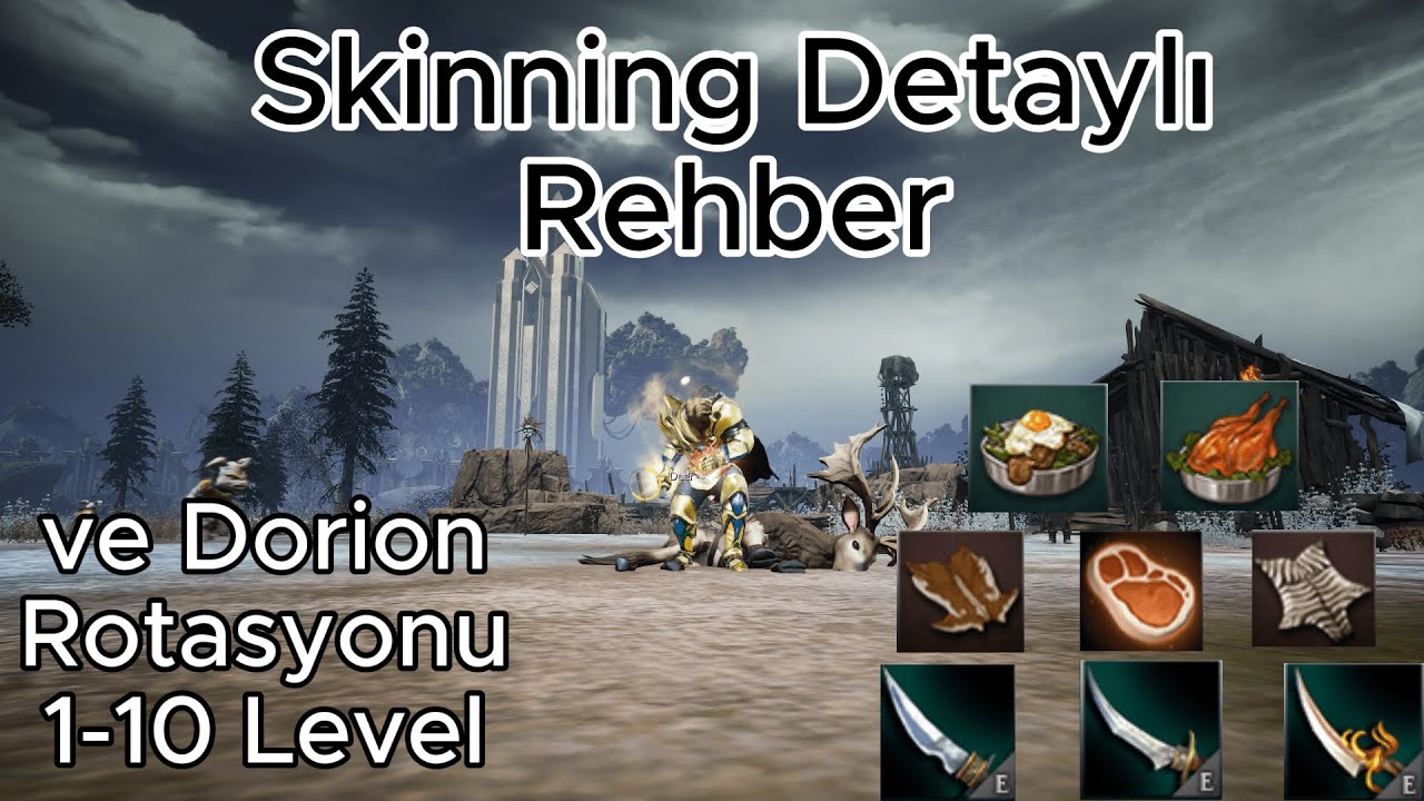 Ne Kadar Kazandırır ? / Skinning Rehberi ve Dorion Rotasoyu / Rise Online #gathering #riseonline