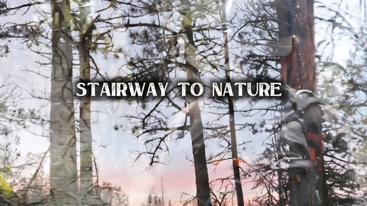Exploring nature with fur family in snow 