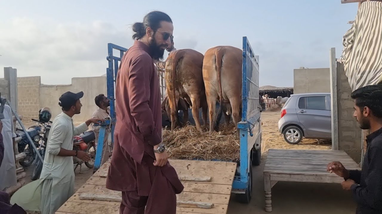 Alhamdulillah 2 Aur Bachriyan Khareed Leen 😍💥 | AR Maani