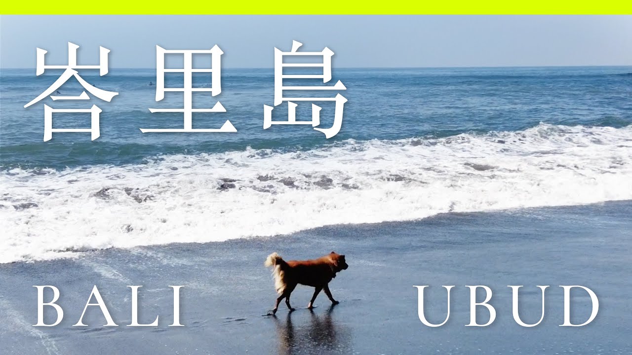 【峇里島】🇮🇩 烏布Vlog  |  巴杜爾火山吉普車日出  ATV越野車  騎馬體驗  印尼美食  |  Bali Vlog  |  Ubud  |  字幕