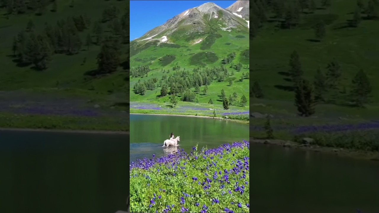 Places on Earth that don't feel real 😱#travellingvideos #naturvideo #adventuredestination