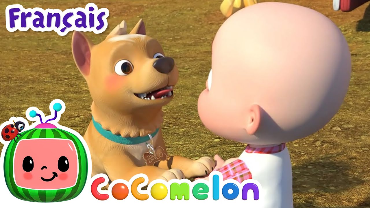 BINGO | CoComelon en Fran&ccedil;ais | Chansons pour b&eacute;b&eacute;s