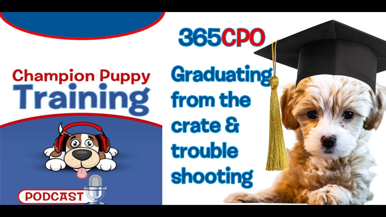 It's Graduation time!