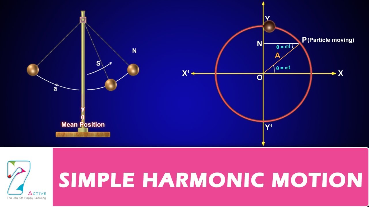 Simple Harmonic Motion