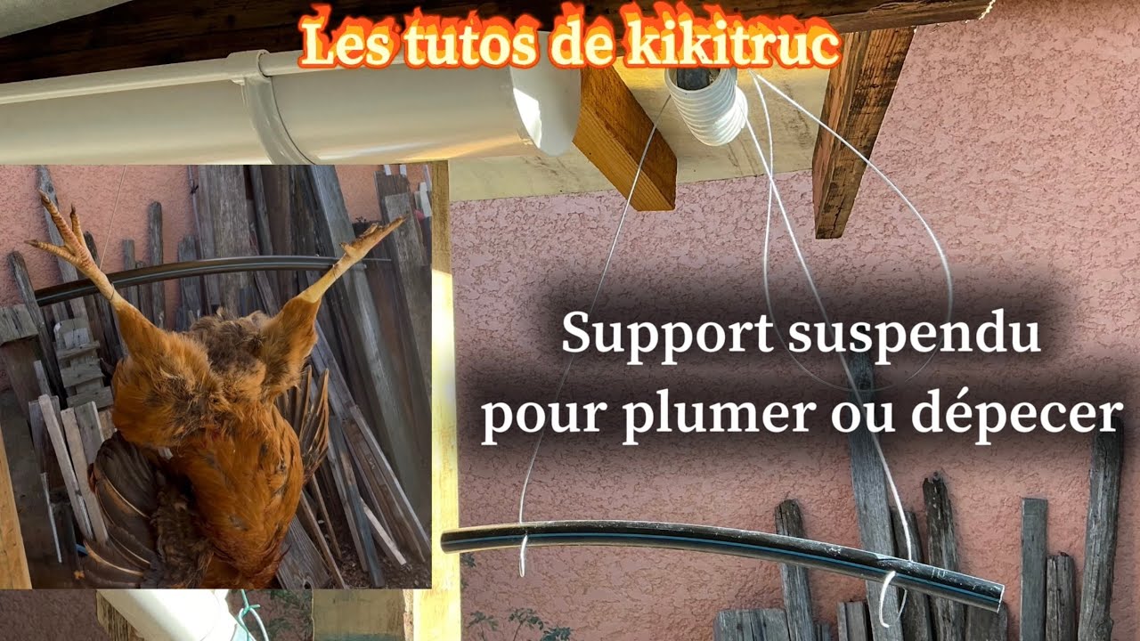 Élevage : support suspendu pour plumer et dépecer