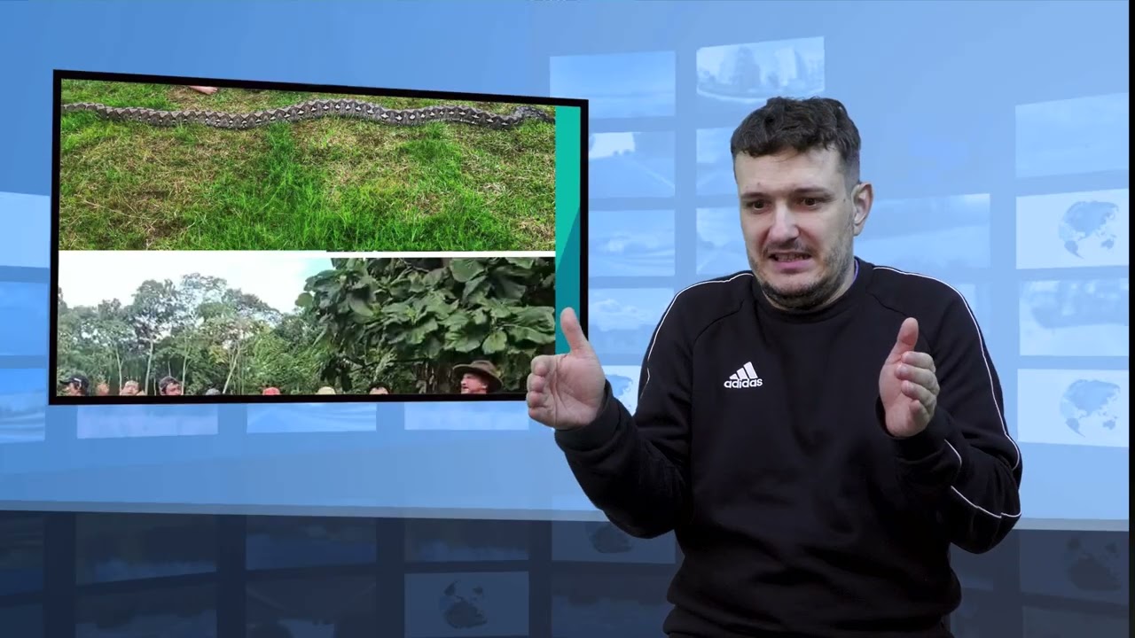Najdłuższy dziki wąż świata jest w Indonezji (Tłumaczenie na Język Migowy - PJM)
