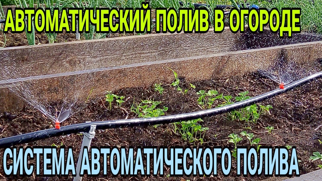 Автоматический полив огорода! Забыли про лейку!