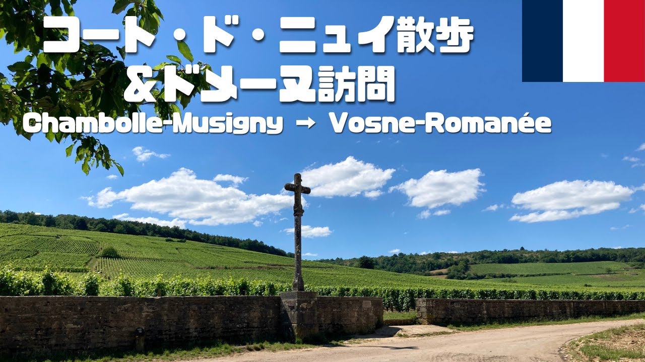 【海外旅行Vlog11】ブルゴーニュのコート・ド・ニュイ銘醸地巡りとヴォーヌ・ロマネのジャン・ルイ・ライヤール訪問/ヨーロッパ旅行