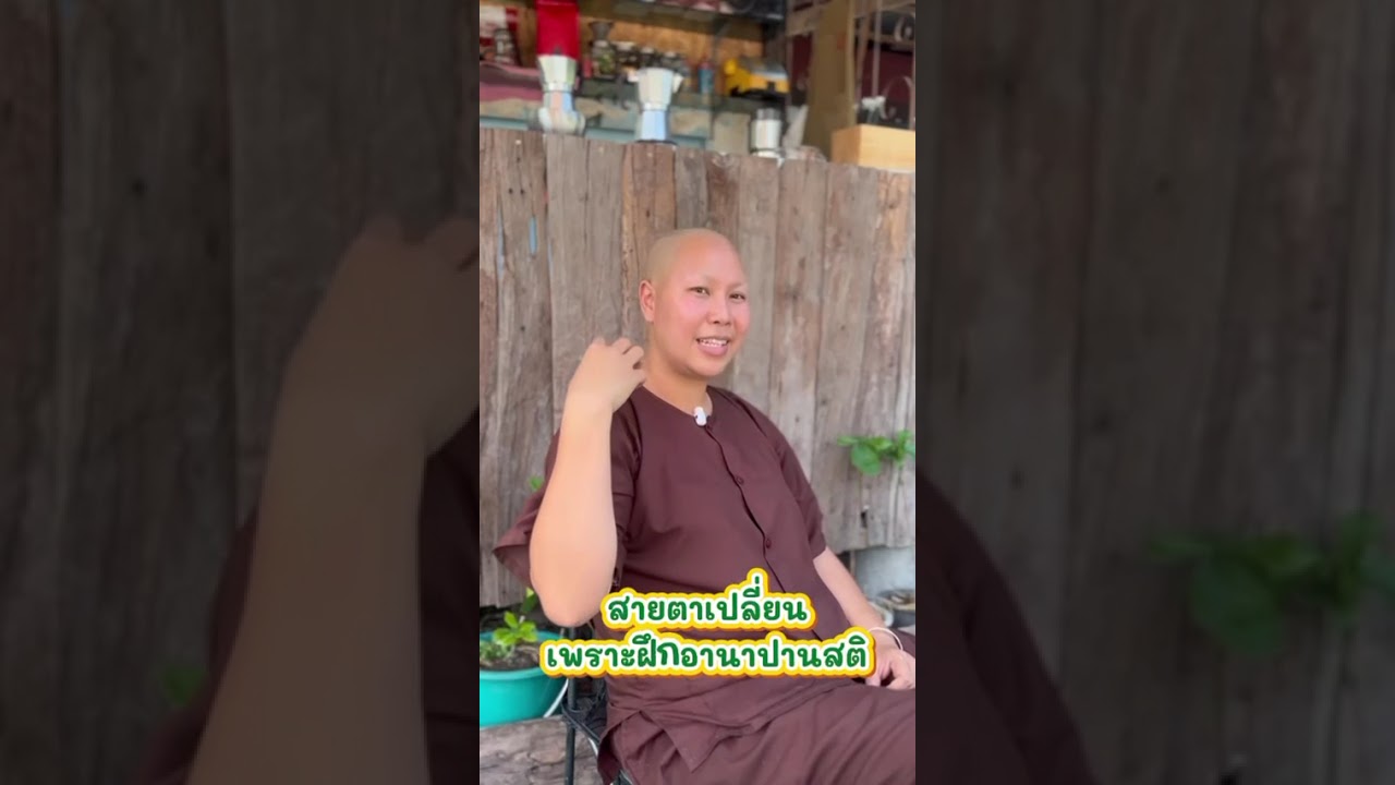 สายตาเปลี่ยนเพราะฝึกอานาปานสติ #วัดป่าบ่อน้ำพระอินทร์  #หลวงตาสินทรัพย์ #อาจารย์เน #buddha 