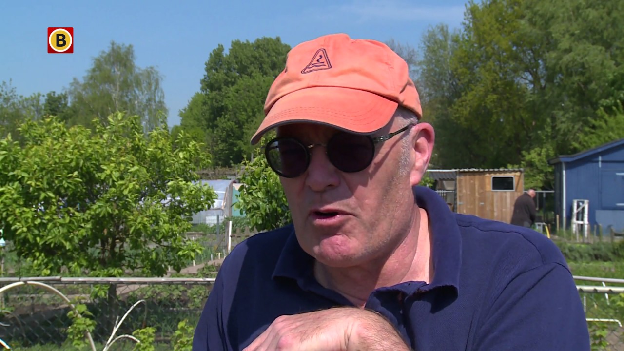 Schoffelen als therapie op de moestuin het werkt is goedkoop en rustgevend