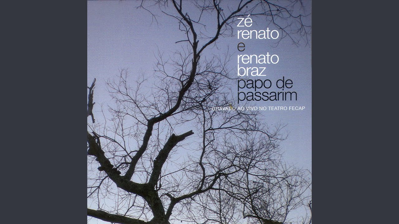 Papo de Passarim