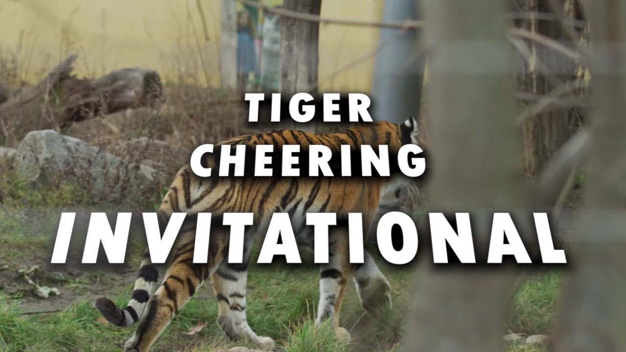 MYCCA Tiger Cheering Invitational