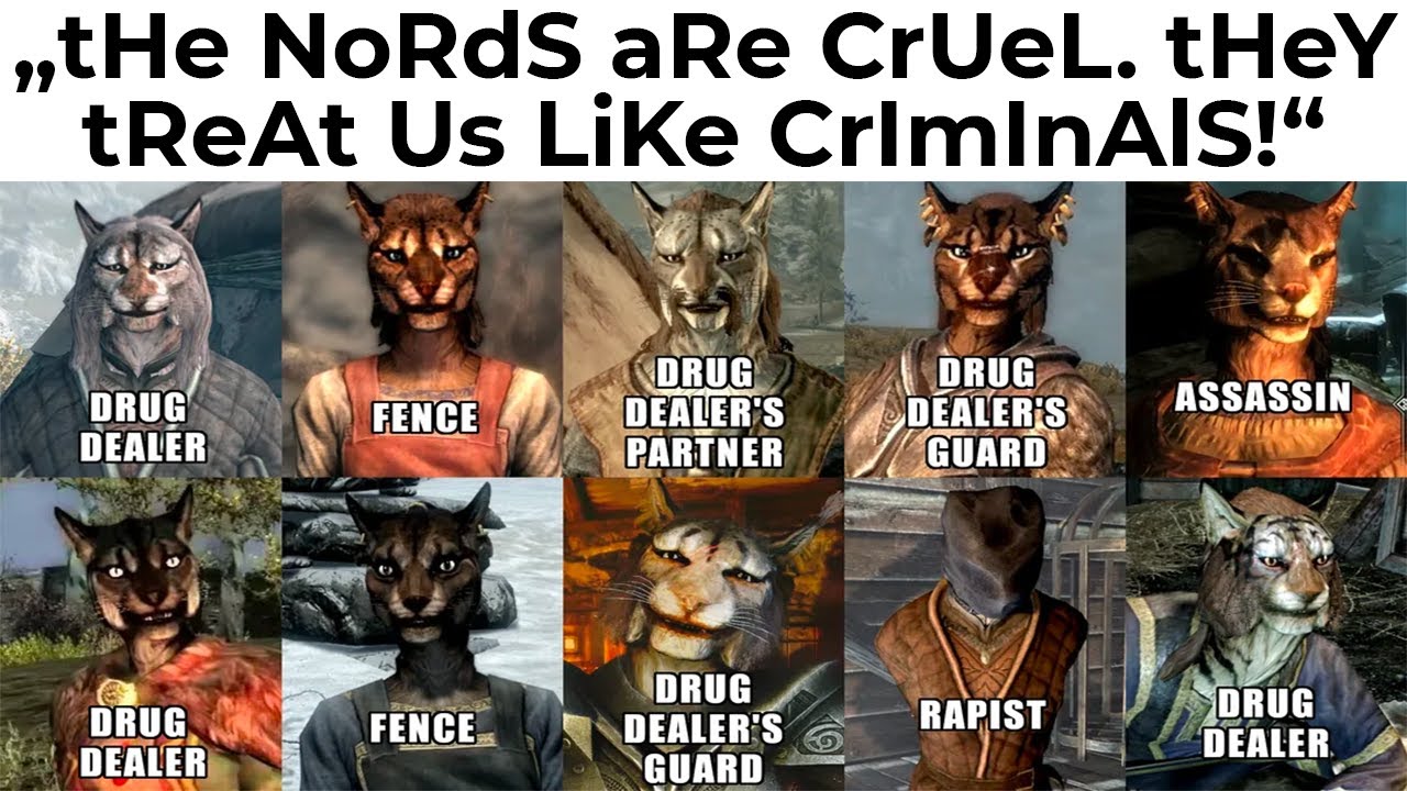 SKYRIM MEMES 2