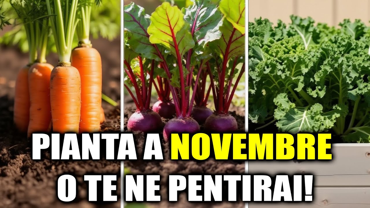 20 Colture Super Produttive Da Piantare A Novembre Prima Che Sia Troppo Tardi