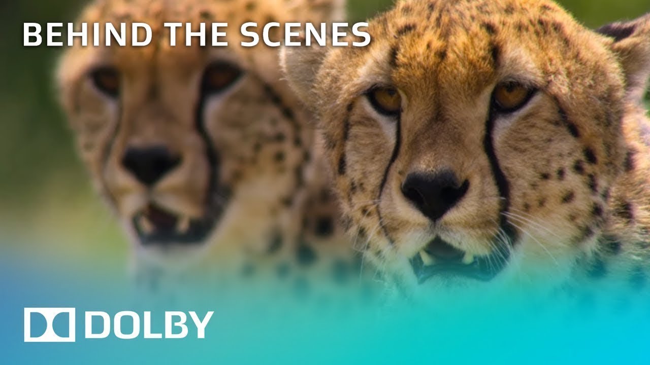 Netflix's Our Planet | Behind The Scenes | Dolby