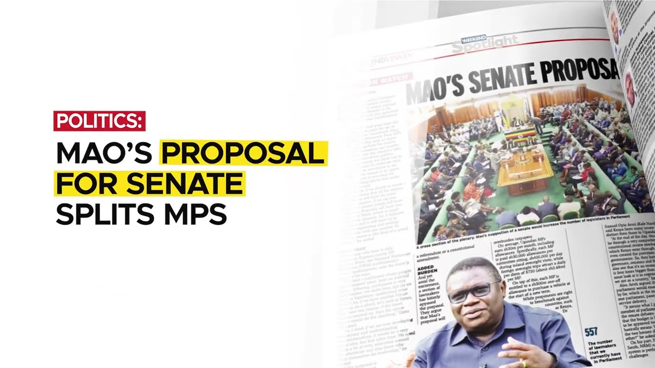 In the New Vision February 21 22, 2026