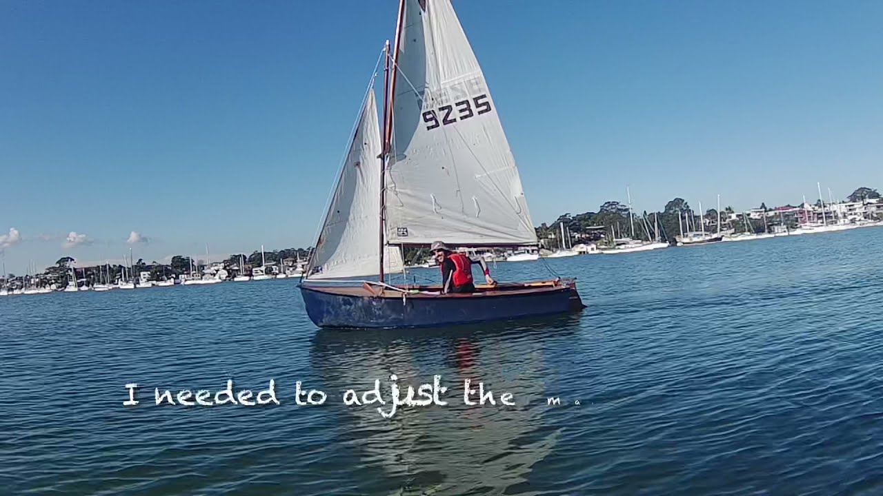 A pair of Herons sailing Kogarah Bay