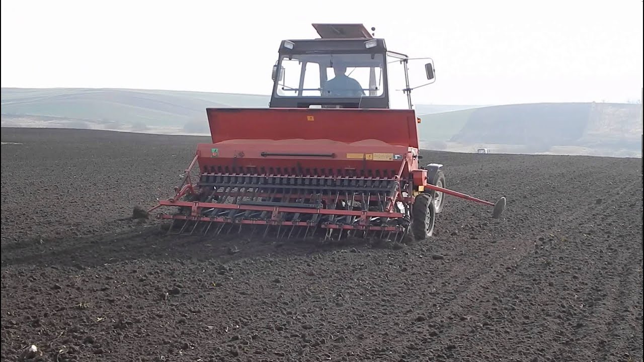 Uprawa i Siew Pszenicy 2013  na Lubelszczyźnie [Zetor 5320 , MTZ 82]