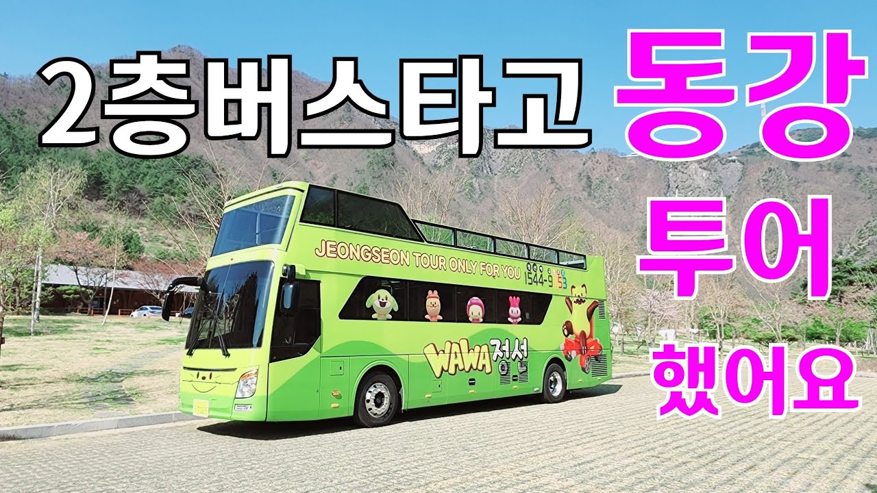 오천원 내고3시간 2층 버스타고 동강마을 투어🚌 🚍 🚎 //정선 여행 오시면 꼭 한번 해보세요