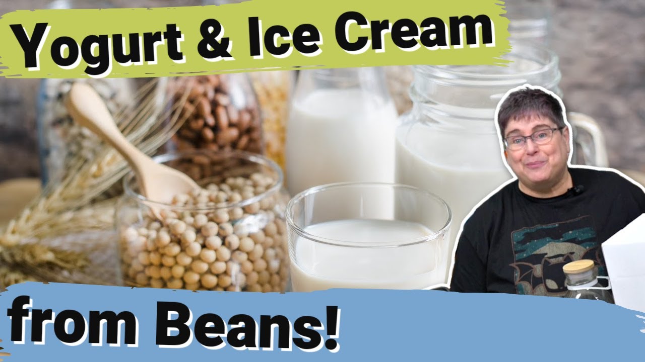 DIY Vegan Dairy: From Homemade Soy Milk to Yogurt and Vanilla Ice Cream! 🌱🥛🍦